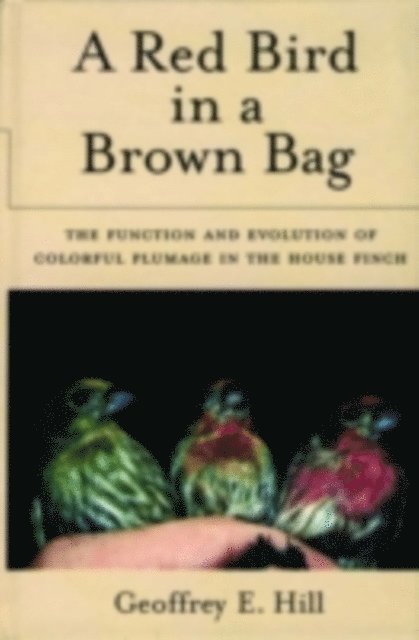 Geoffrey E. Hill - Red Bird in a Brown Bag, E-bok