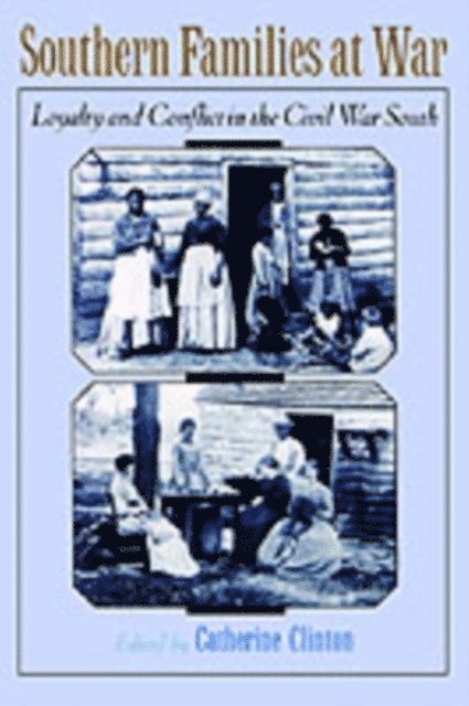 Catherine Clinton - Southern Families at War, E-bok