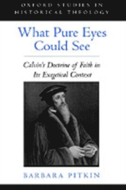 Barbara Pitkin - What Pure Eyes Could See, E-bok