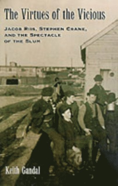Keith Gandal - Virtues of the Vicious, E-bok