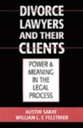 Divorce Lawyers and Their Clients