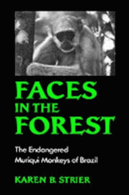 Karen B. Strier - Faces in the Forest, E-bok