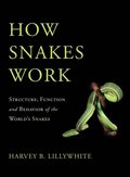 How Snakes Work