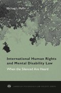 International Human Rights and Mental Disability Law