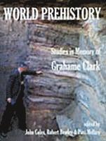 John Coles, R. H. Bewley, Paul Mellars - World Prehistory – Studies in Memory of Grahame Clark, Inbunden. Tillgänglighet: Tillfälligt slut