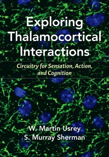 S. Murray Sherman, W. Martin Usrey - Exploring Thalamocortical Interactions, E-bok