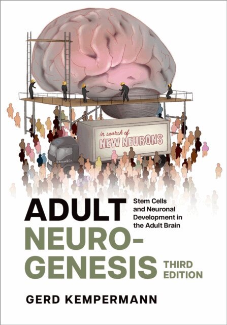 Gerd Kempermann - Adult Neurogenesis, E-bok. Tillgänglighet: Lägg i varukorg