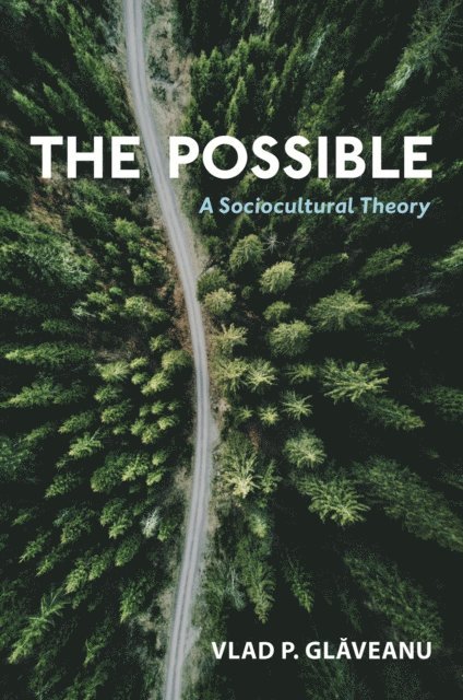 Vlad P. Glaveanu - Possible, E-bok