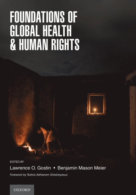 Benjamin Mason Meier, Lawrence O. Gostin - Foundations of Global Health & Human Rights, E-bok