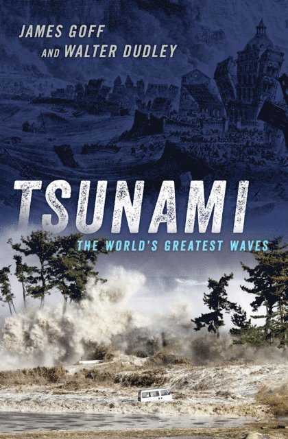 Walter Dudley, James Goff - Tsunami, E-bok