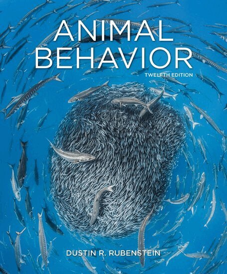 Dustin Rubenstein - Animal Behavior, Häftad. Tillgänglighet: Lägg i varukorg