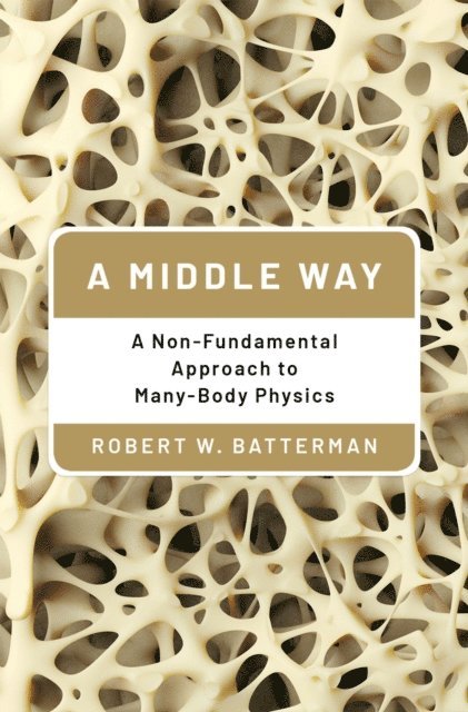 Robert W. Batterman - Middle Way, E-bok