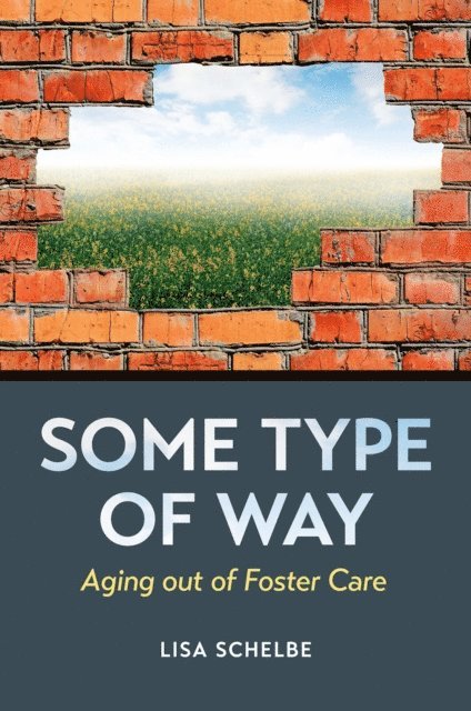 Lisa Schelbe - Some Type of Way, E-bok