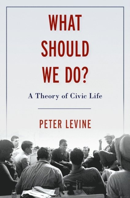 Peter Levine - What Should We Do?, E-bok