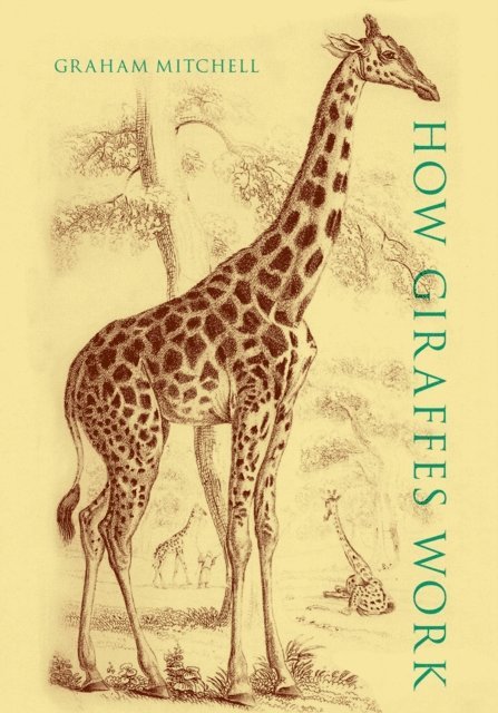 Graham Mitchell - How Giraffes Work, E-bok