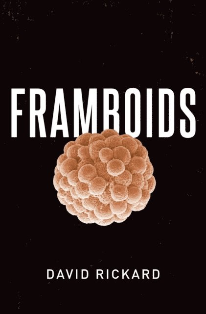 David Rickard - Framboids, E-bok