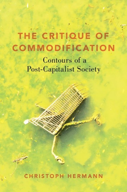 Christoph Hermann - Critique of Commodification, E-bok