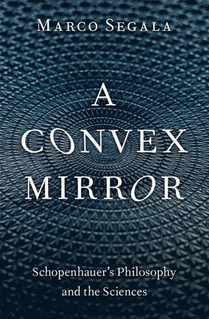 Convex Mirror