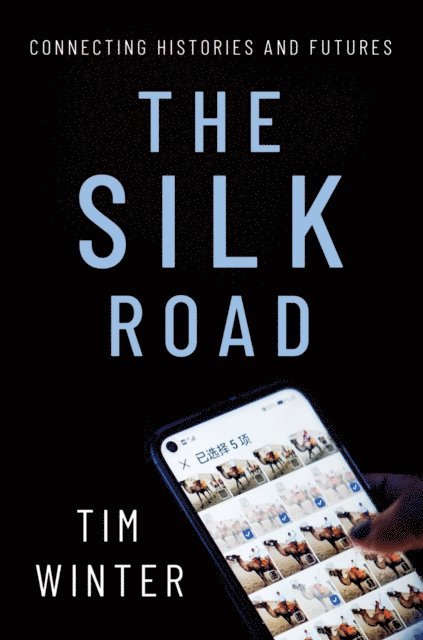 Tim Winter - Silk Road, E-bok
