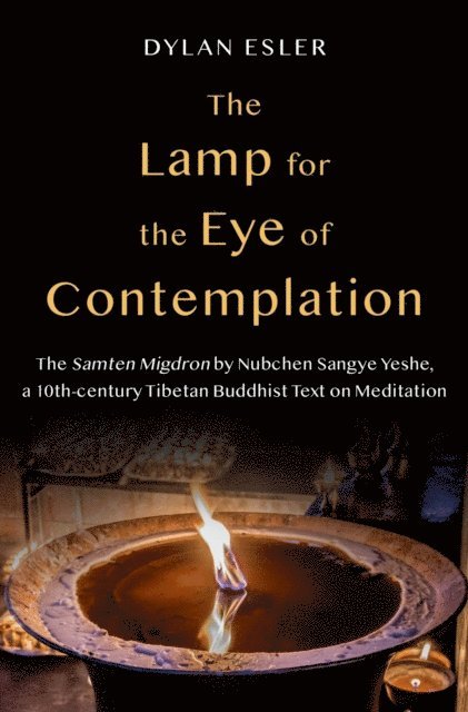 Dylan Esler - Lamp for the Eye of Contemplation, E-bok