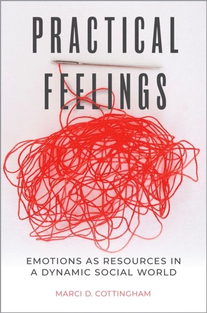 Marci D. Cottingham - Practical Feelings, E-bok