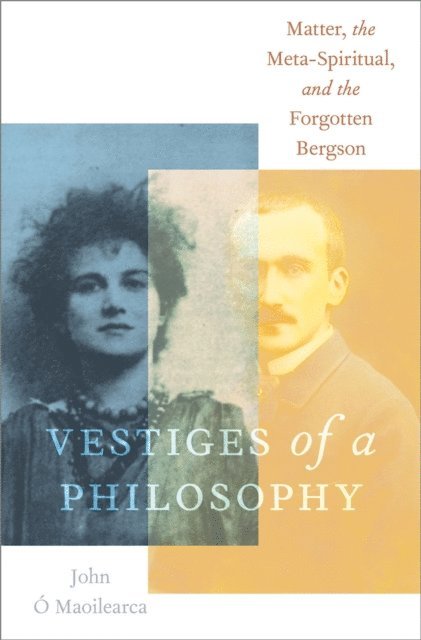 John O Maoilearca - Vestiges of a Philosophy, E-bok