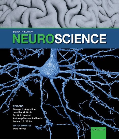 Jennifer M. Groh, Scott A. Huettel, Anthony-Samuel LaMantia, Leonard E. White, Emeritus Purves - Neuroscience, Inbunden