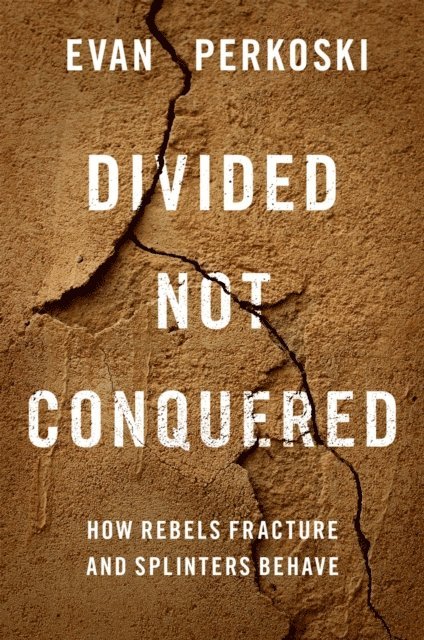 Evan Perkoski - Divided Not Conquered, E-bok