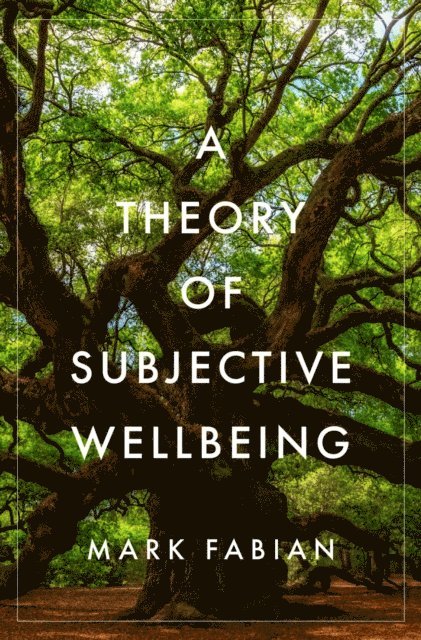 Mark Fabian - Theory of Subjective Wellbeing, E-bok
