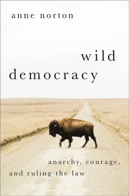 Anne Norton - Wild Democracy, E-bok