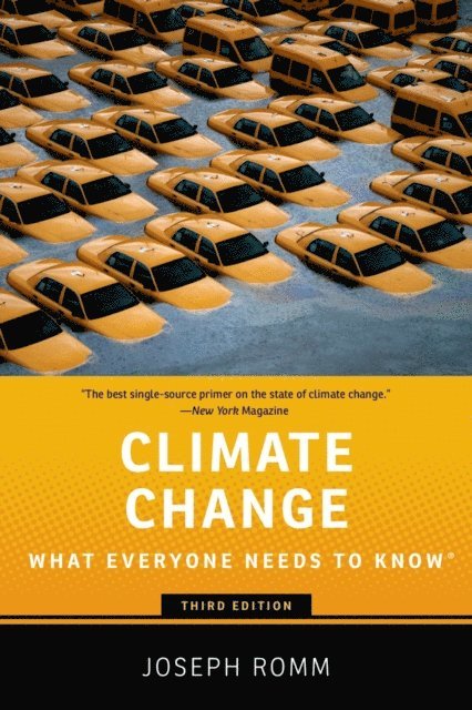 Joseph Romm - Climate Change, E-bok