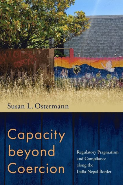 Susan L. Ostermann - Capacity beyond Coercion, E-bok