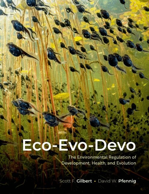 David W. Pfennig, Scott F. Gilbert - Eco-Evo-Devo, E-bok