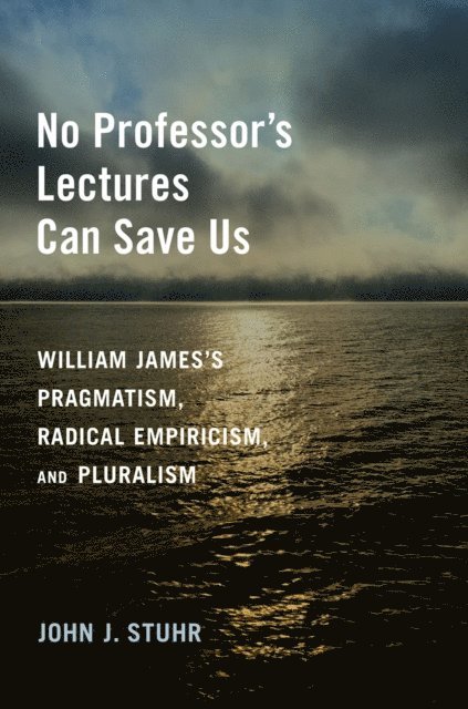 John J. Stuhr - No Professor's Lectures Can Save Us, E-bok