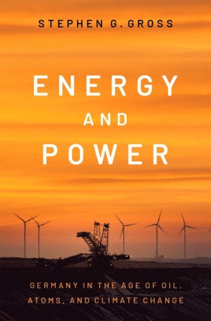 Stephen G. Gross - Energy and Power, E-bok