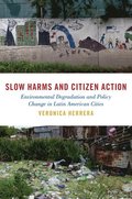 Slow Harms and Citizen Action