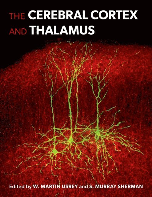 S. Murray Sherman, W. Martin Usrey - Cerebral Cortex and Thalamus, E-bok