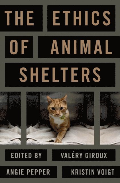Angie Pepper, Kristin Voigt, Valery Giroux - Ethics of Animal Shelters, E-bok