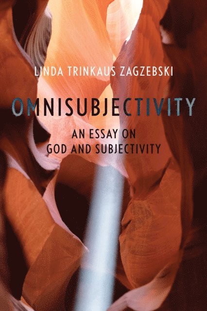 Linda Trinkaus Zagzebski - Omnisubjectivity, E-bok