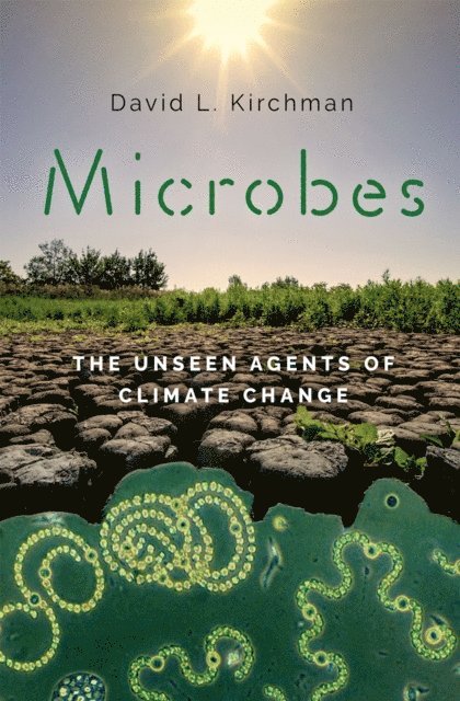 David L. Kirchman - Microbes, E-bok