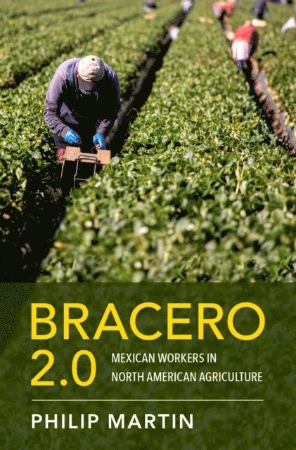 Philip Martin - Bracero 2.0, E-bok