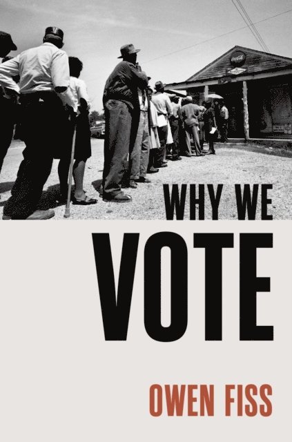 Owen Fiss - Why We Vote, E-bok