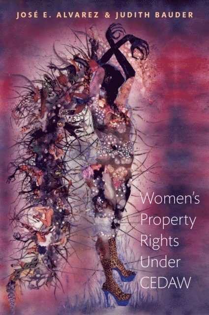 Judith Bauder, JosA(c) E. Alvarez - Women's Property Rights Under CEDAW, E-bok
