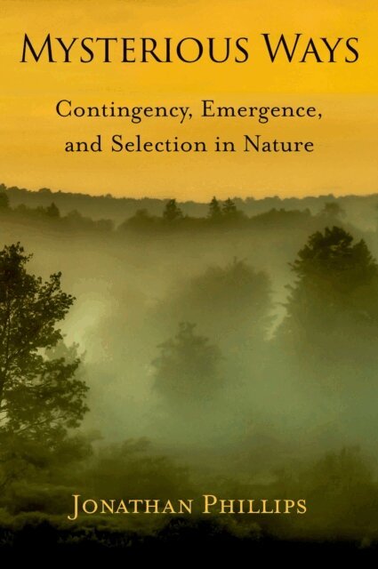 Jonathan D. Phillips - Mysterious Ways, E-bok