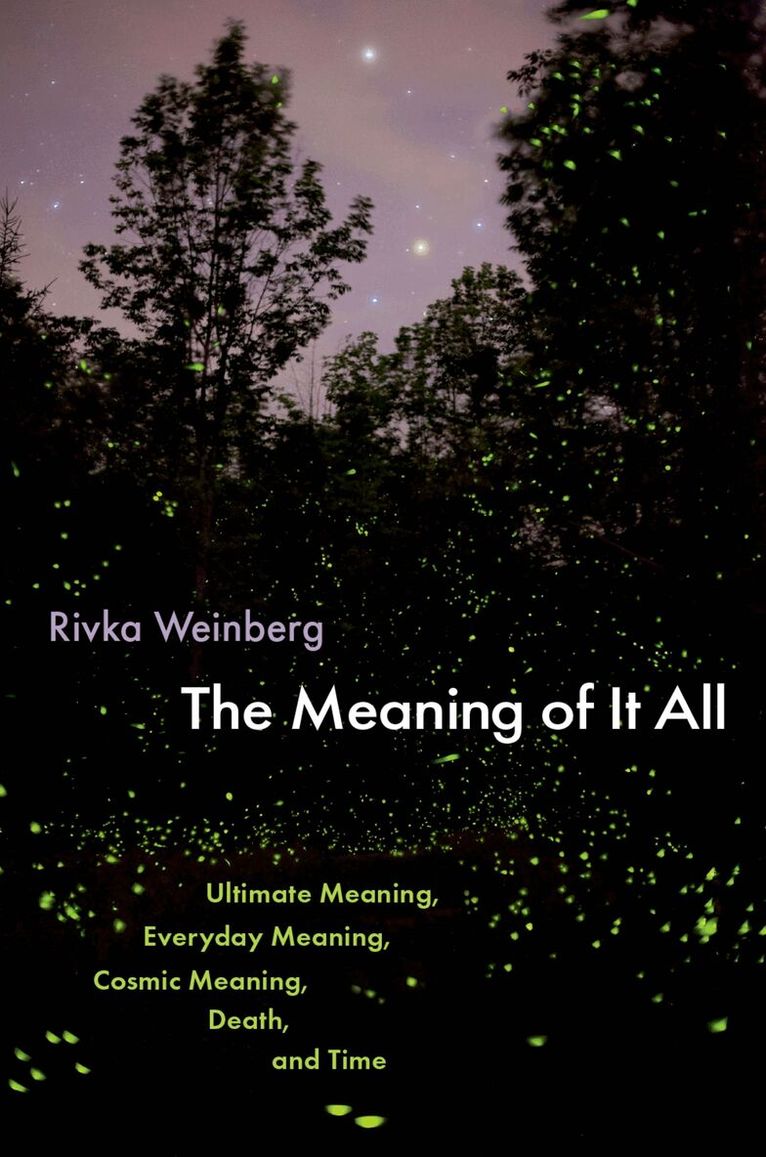 Rivka Weinberg - The Meaning of It All, Inbunden