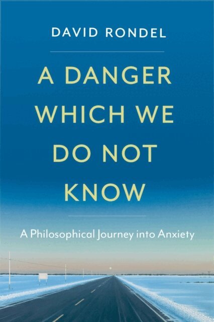 David Rondel - Danger Which We Do Not Know, E-bok