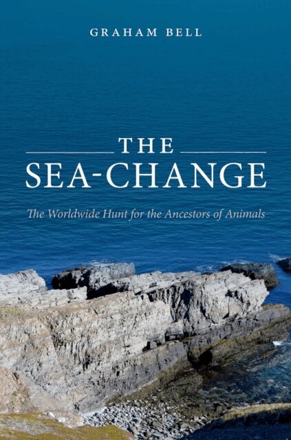 Sea-Change