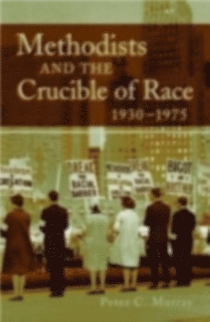 Joel Williamson - Crucible of Race, E-bok