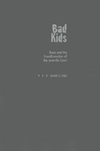 Barry C. Feld - Bad Kids, E-bok