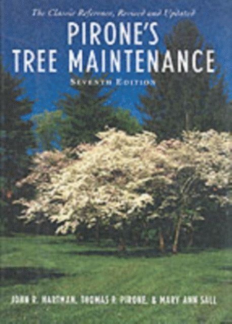 Pirone's Tree Maintenance